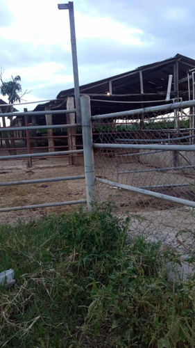Vendo Finca De 1300 Tareas En Aras Nacionales En Villa Mella