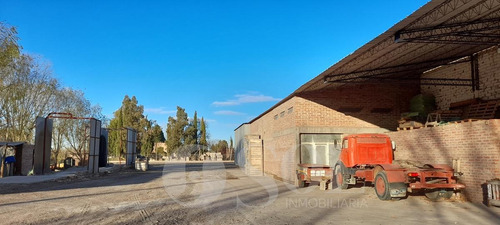 Imagen 28 de 30 de Galpón 1500 M2 En Allen