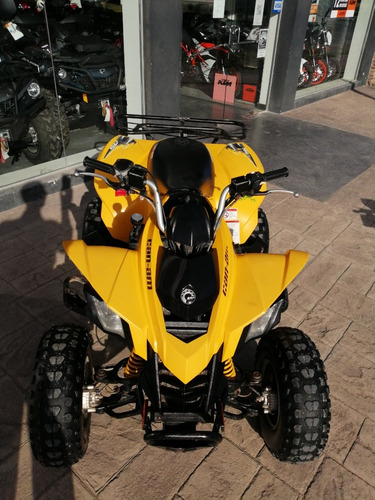 Imagen 2 de 10 de Can-am Ds 250 2013