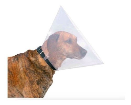Collar Isabelino Plastico Para Perros Trixie Xs 22-25 Cm / 7 collar veterinario