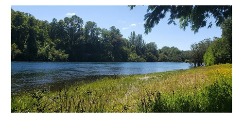 Imagen 7 de 16 de Agrícola En Venta En Lago Ranco