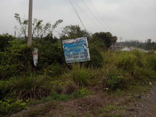 Terrenos Renta Salida A Tamiahua Tuxpan Veracruz