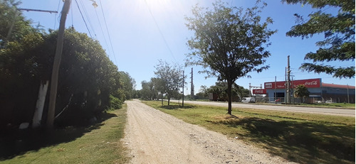 Imagen 9 de 10 de Se Vende Tinglado En Merlo