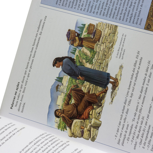 Livro - Quem É Jesus? Sbb