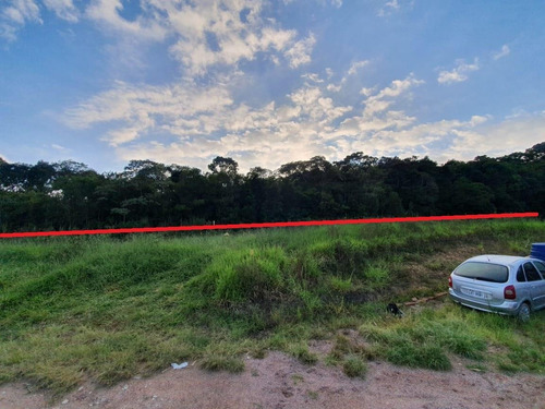 Imagem 3 de 6 de Área Para Venda Em São José Dos Pinhais, Agaraú - 93_2-1179991