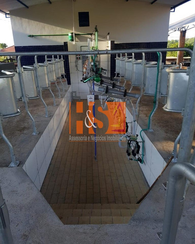 Imagem 16 de 21 de Fazenda - Fa00002 - 69904513