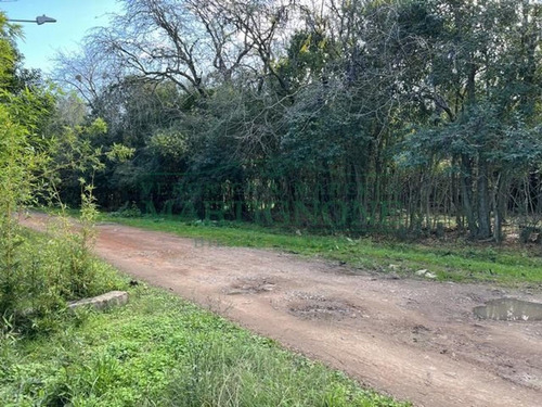 Imagen 7 de 8 de Terreno En Venta En 3216 M2 Fátima Manzanares Pilar