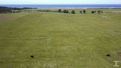 Campo En Venta
