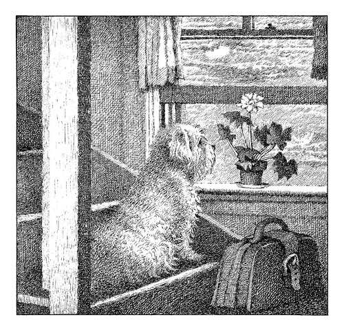 ¡dídola, Pídola, Pon! Maurice Sendak - Kalandraka *sueños*