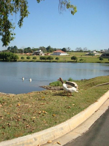 Imagem 13 de 26 de Terreno À Venda, 1000 M² Por R$ 350.000 - Condomínio Palmeiras Imperiais - Salto/sp - Te0795