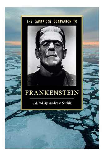 Libro: The Cambridge Companion To Frankenstein (cambridge To