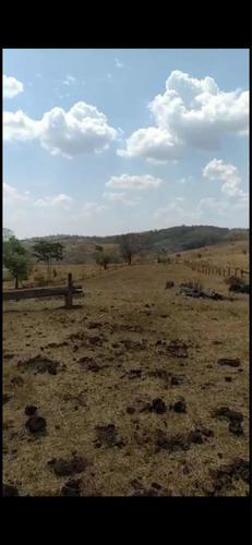Imagem 8 de 13 de Fazenda Montada Pra Pecuária Município Unai