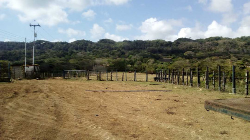 Imagen 20 de 30 de Finca En Mirimire Estado Falcon De 941 Hectáreas