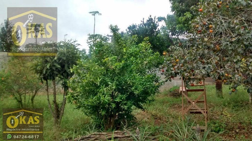 Imagem 9 de 30 de Chácara Com 1 Dormitório À Venda, 500 M² Por R$ 230.000,00 - Parque Residencial Samambaia - Suzano/sp - Ch0026