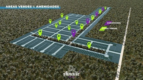 Imagen 9 de 10 de Oportunidad De Venta Terreno De Inversion Yucatan
