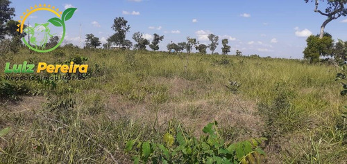 Imagem 1 de 13 de Fazenda À Venda Em Peixe - To - De 2.260 Hectares (dupla Aptidão) - 1856