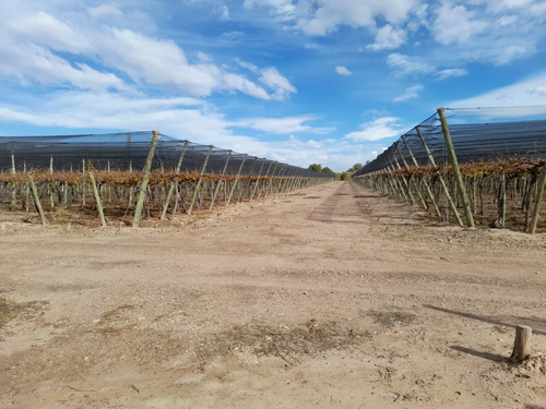 Imagen 4 de 8 de Finca De 25 Has. En Barrancas