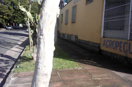 Imagem 2 de 8 de Casa - Partenon - Ref: 409355 - V-pj4461