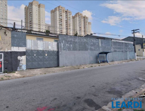 Imagem 7 de 9 de Comercial - Campestre - Sp - 492975