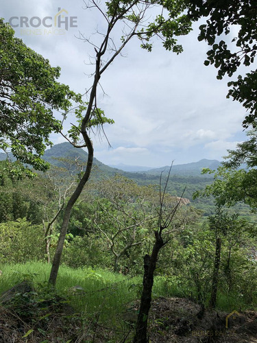 Rancho En Venta La Concepción Ver, 15 Mins De Xalapa Ver.