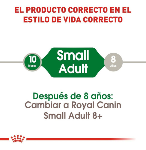 Royal Canin Mini Adult 6.3 Kg Nuevo Original Sellado