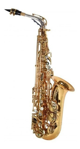 Imagem 2 de 3 de Saxofone Tenor Bb Jahnke Jsth102 Limited Edititon 10 Years