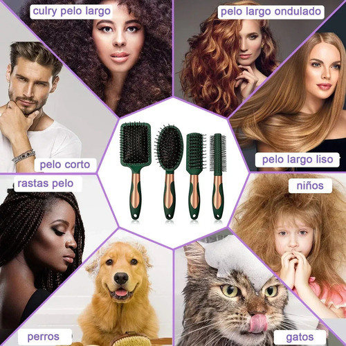 . Herramientas De Peluquería Peine Redondo For Peluq 4