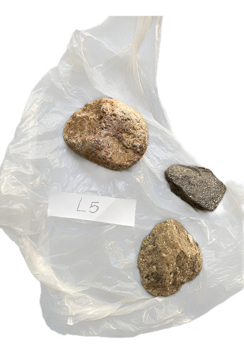 Piedras Lote De 3 Unid Naturales Fósiles Y Más (l5) Beige
