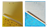 Comprar Paquete De 20 Trampas De Moscas Y Mosquitos Pegajosos De Doble Cara Trampas De Insectos Pegajosos Amarillos Para Uso En Interiores \u002F Exteriores - Insectos Voladores De Plantas Como Mosquitos Pulgones