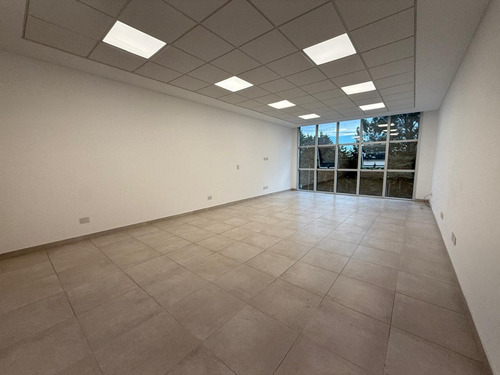 Oficina 55m2 En Alquiler. Ayres De Canning