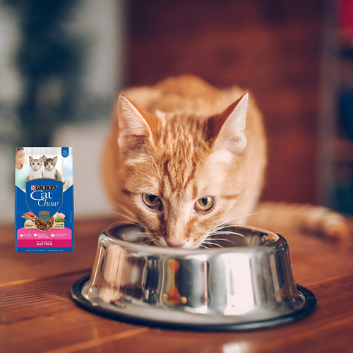 Cat Chow Gatitos 24 Kilos