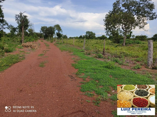 Imagem 3 de 14 de Fazenda À Venda Em Santa Rita Do Pardo - Ms - 650 Hectares (pecuária) - 1657