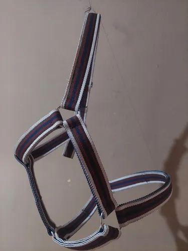 Cabresto Equino