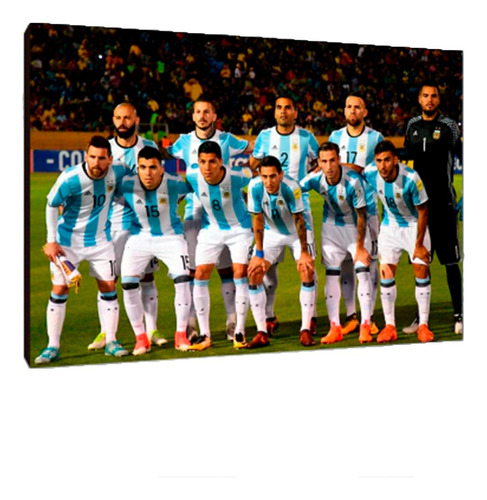 Cuadros Poster Deportes Futbol Argentina L 29x41 (fsa (19))