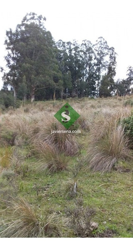 Venta De Chacra En Garzon, 8 Hectareas, Con Edificacion Para Reciclar Y Agua Permanente.- Ref: 167293