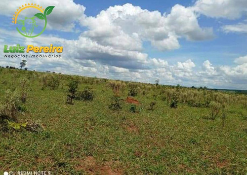 Imagem 4 de 15 de Fazenda À Venda Em Anaurilândia - Ms - (excelente Para Lavoura) - 1696