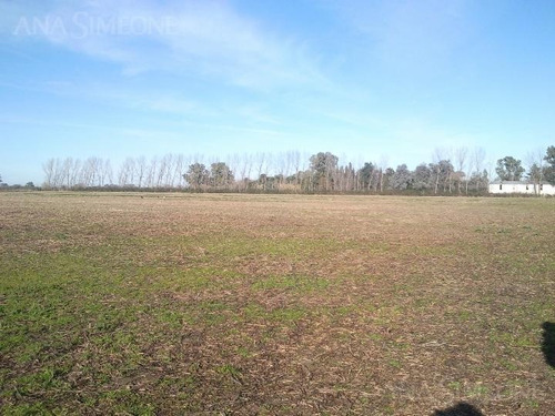 Imagen 4 de 23 de Predio Ideal Para Centro Logístico De 125.000 M2 Con 3.000 M2 Cubiertos