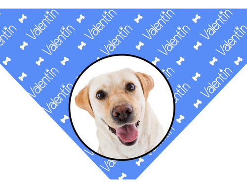 Bandana Para Perros Y Gatos Personalizada Con Foto Y Nombre