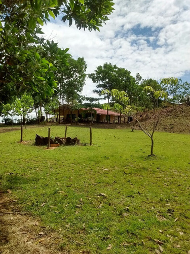 Imagen 6 de 7 de Venta Finca Puerto Gaitan Meta