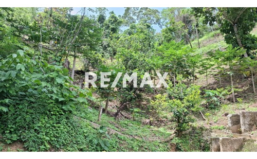 En Venta Finca Productiva, Con Casa, Galpones Y Cultivo De Café