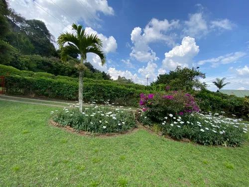 Felidia, 4.093 M2, Finca Campestre.