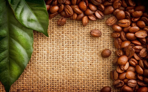 Biferdil Shampoo Energizante Anticaída Con Cafeína 295ml