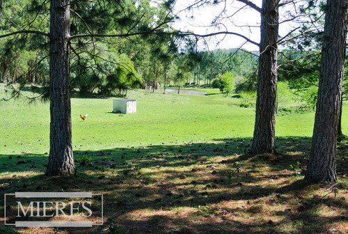 Venta De Chacra Con Casa 8ha En Pueblo Edén Ref 7454 (ref: Atm-7454)