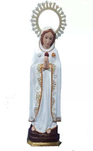  Imagenes De La Virgen Rosa Mistica