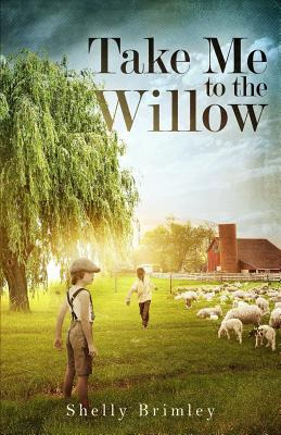 Libro Take Me To The Willow - Brimley, Shelly