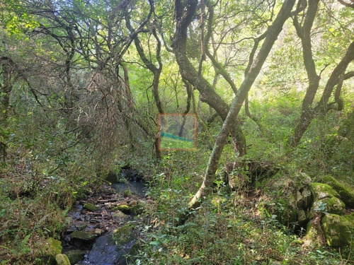 Imagen 22 de 23 de Campo Turístico 38 Hás En Zanja Del Tigre