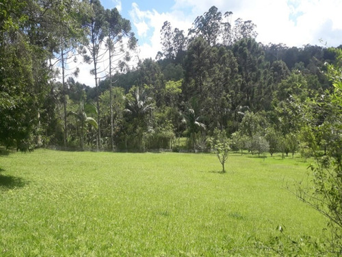 Imagem 11 de 15 de Sitio - 403 - 69427609