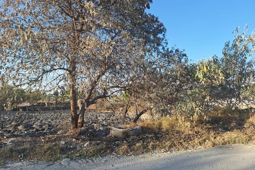 Oportunidad De Terreno De Inversión En El Estado De México A 10 Min De Metepec.