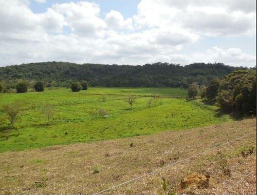 Imagem 4 de 6 de Fazenda - Fa00005 - 68142250