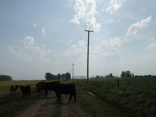 Imagen 3 de 17 de Campo En Cañuelas